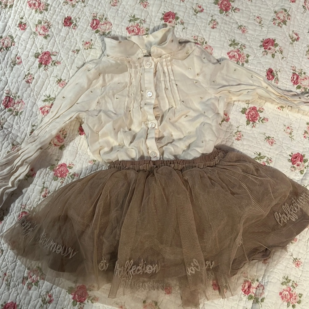 Baby girl Zara tulle skirt & gold flake blouse size 2